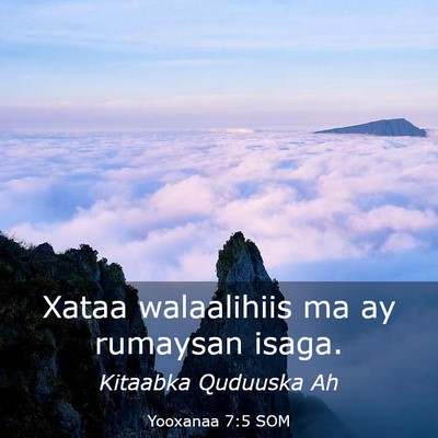 Picture 03 - Yooxanaa 7:5 SOM - Xataa walaalihiis ma ay rumaysan - Bible Verse Picture