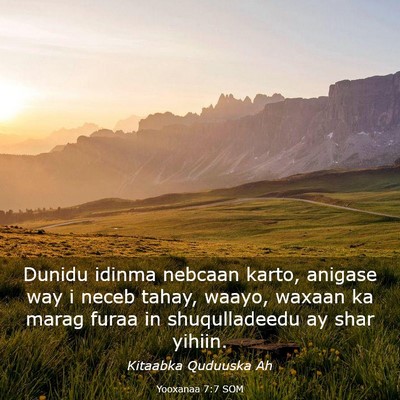 Picture 03 - Yooxanaa 7:7 SOM - Dunidu idinma nebcaan karto, anigase way i neceb - Bible Verse Picture