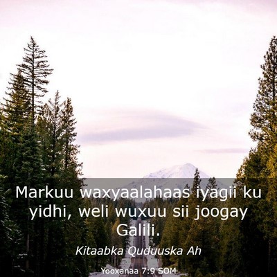 Picture 03 - Yooxanaa 7:9 SOM - Markuu waxyaalahaas iyagii ku yidhi, weli wuxuu - Bible Verse Picture