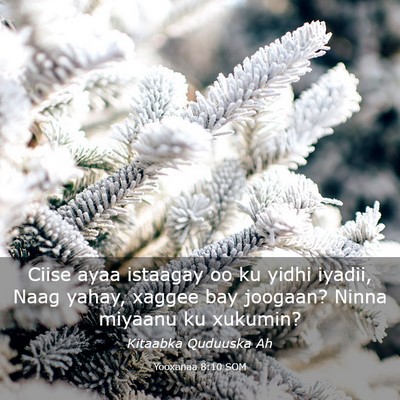 Picture 03 - Yooxanaa 8:10 SOM - Ciise ayaa istaagay oo ku yidhi iyadii, Naag - Bible Verse Picture
