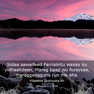 Picture 03 - Yooxanaa 8:13 SOM - Sidaa aawadeed Farrisiintu waxay ku yidhaahdeen, - Bible Verse Picture