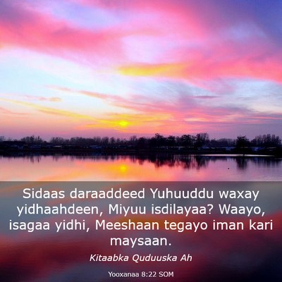 Picture 03 - Yooxanaa 8:22 SOM - Sidaas daraaddeed Yuhuuddu waxay yidhaahdeen, - Bible Verse Picture