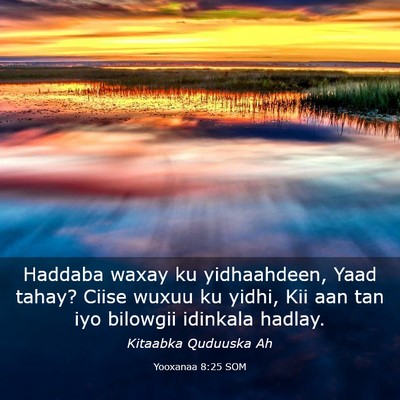 Picture 03 - Yooxanaa 8:25 SOM - Haddaba waxay ku yidhaahdeen, Yaad tahay? Ciise - Bible Verse Picture