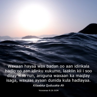 Picture 03 - Yooxanaa 8:26 SOM - Waxaan hayaa wax badan oo aan idinkala hadlo oo - Bible Verse Picture