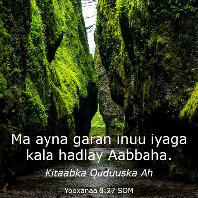 Picture 03 - Yooxanaa 8:27 SOM - Ma ayna garan inuu iyaga kala hadlay - Bible Verse Picture