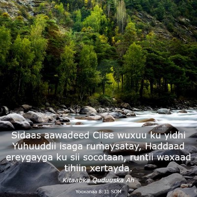 Picture 03 - Yooxanaa 8:31 SOM - Sidaas aawadeed Ciise wuxuu ku yidhi Yuhuuddii - Bible Verse Picture