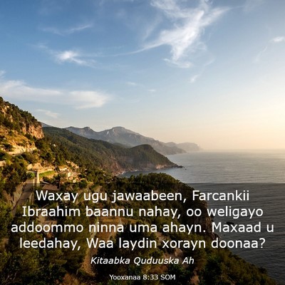 Picture 03 - Yooxanaa 8:33 SOM - Waxay ugu jawaabeen, Farcankii Ibraahim baannu - Bible Verse Picture