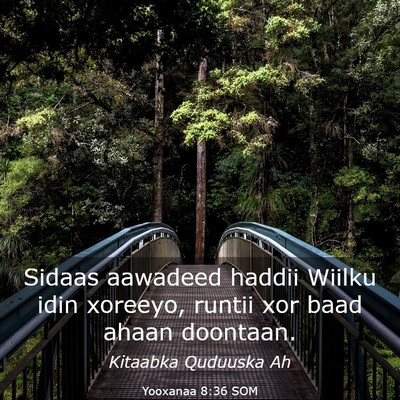 Picture 03 - Yooxanaa 8:36 SOM - Sidaas aawadeed haddii Wiilku idin xoreeyo, - Bible Verse Picture