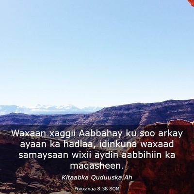 Picture 03 - Yooxanaa 8:38 SOM - Waxaan xaggii Aabbahay ku soo arkay ayaan ka - Bible Verse Picture