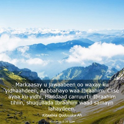 Picture 03 - Yooxanaa 8:39 SOM - Markaasay u jawaabeen oo waxay ku yidhaahdeen, - Bible Verse Picture