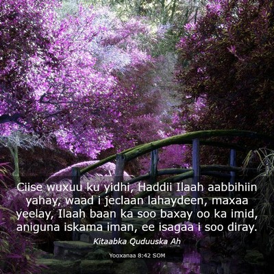 Picture 03 - Yooxanaa 8:42 SOM - Ciise wuxuu ku yidhi, Haddii Ilaah aabbihiin - Bible Verse Picture