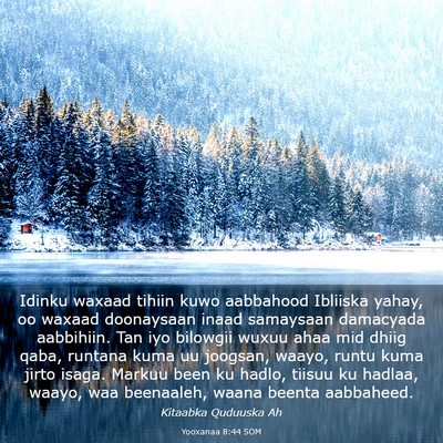 Picture 03 - Yooxanaa 8:44 SOM - Idinku waxaad tihiin kuwo aabbahood Ibliiska - Bible Verse Picture