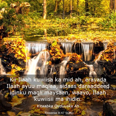 Picture 03 - Yooxanaa 8:47 SOM - Kii Ilaah kuwiisa ka mid ah, erayada Ilaah ayuu - Bible Verse Picture