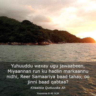 Picture 03 - Yooxanaa 8:48 SOM - Yuhuuddu waxay ugu jawaabeen, Miyaannan run ku - Bible Verse Picture