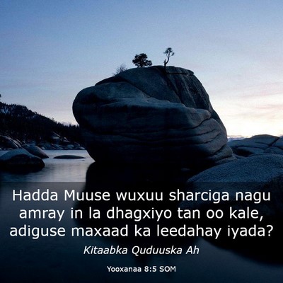 Picture 03 - Yooxanaa 8:5 SOM - Hadda Muuse wuxuu sharciga nagu amray in la - Bible Verse Picture
