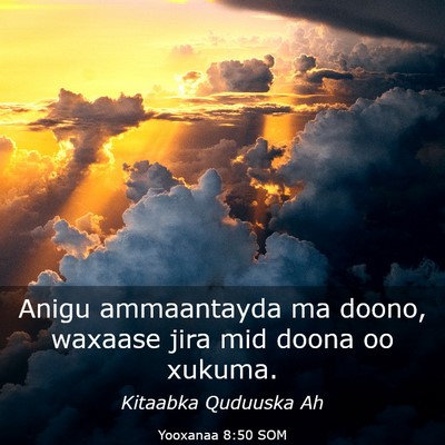 Picture 03 - Yooxanaa 8:50 SOM - Anigu ammaantayda ma doono, waxaase jira mid - Bible Verse Picture
