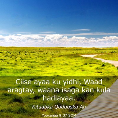 Picture 03 - Yooxanaa 9:37 SOM - Ciise ayaa ku yidhi, Waad aragtay, waana isaga - Bible Verse Picture