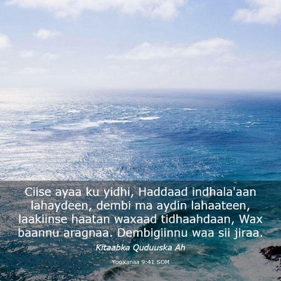 Picture 03 - Yooxanaa 9:41 SOM - Ciise ayaa ku yidhi, Haddaad indhala'aan - Bible Verse Picture
