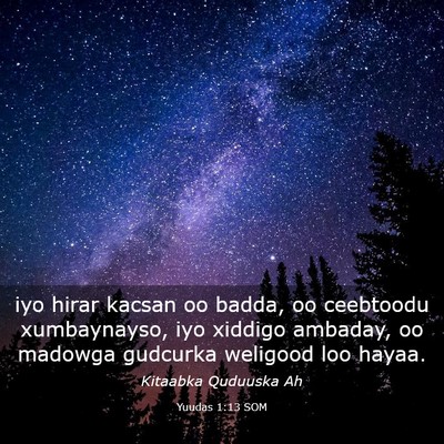 Picture 03 - Yuudas 1:13 SOM - iyo hirar kacsan oo badda, oo ceebtoodu - Bible Verse Picture