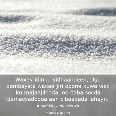 Picture 03 - Yuudas 1:18 SOM - Waxay idinku yidhaahdeen, Ugu dambaysta waxaa - Bible Verse Picture
