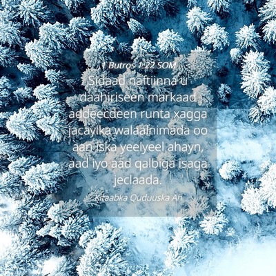 Picture 04 - 1 Butros 1:22 SOM - Sidaad naftiinna u daahiriseen markaad addeecdeen - Bible Verse Picture