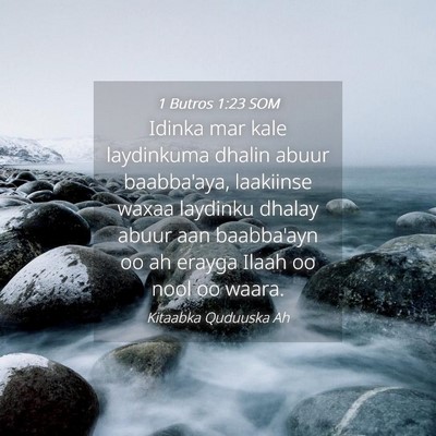 Picture 04 - 1 Butros 1:23 SOM - Idinka mar kale laydinkuma dhalin abuur - Bible Verse Picture