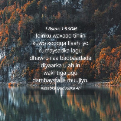 Picture 04 - 1 Butros 1:5 SOM - Idinku waxaad tihiin kuwo xoogga Ilaah iyo - Bible Verse Picture