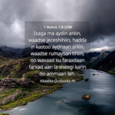 Picture 04 - 1 Butros 1:8 SOM - Isaga ma aydin arkin, waadse jeceshihiin, hadda - Bible Verse Picture