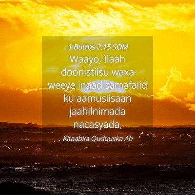 Picture 04 - 1 Butros 2:15 SOM - Waayo, Ilaah doonistiisu waxa weeye inaad - Bible Verse Picture