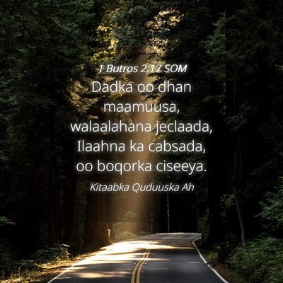 Picture 04 - 1 Butros 2:17 SOM - Dadka oo dhan maamuusa, walaalahana jeclaada, - Bible Verse Picture
