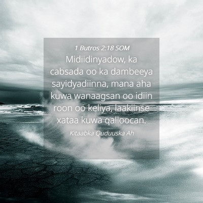 Picture 04 - 1 Butros 2:18 SOM - Midiidinyadow, ka cabsada oo ka dambeeya - Bible Verse Picture