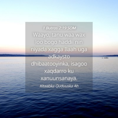 Picture 04 - 1 Butros 2:19 SOM - Waayo, tanu waa wax loo bogo haddii nin niyada - Bible Verse Picture