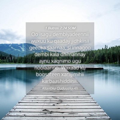 Picture 04 - 1 Butros 2:24 SOM - Oo isagu dembiyadeennii wuxuu ku qaaday - Bible Verse Picture