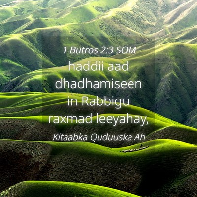 Picture 04 - 1 Butros 2:3 SOM - haddii aad dhadhamiseen in Rabbigu raxmad - Bible Verse Picture