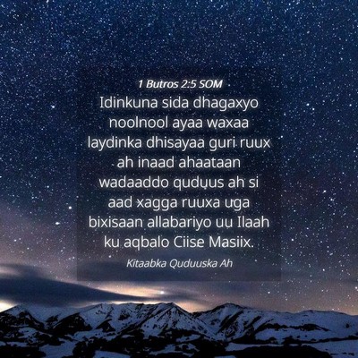 Picture 04 - 1 Butros 2:5 SOM - Idinkuna sida dhagaxyo noolnool ayaa waxaa - Bible Verse Picture