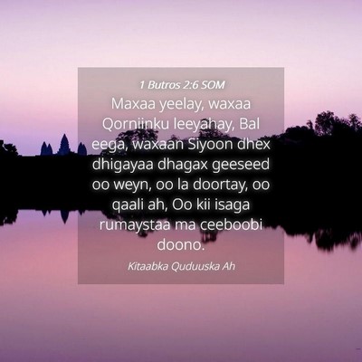Picture 04 - 1 Butros 2:6 SOM - Maxaa yeelay, waxaa Qorniinku leeyahay, Bal eega, - Bible Verse Picture