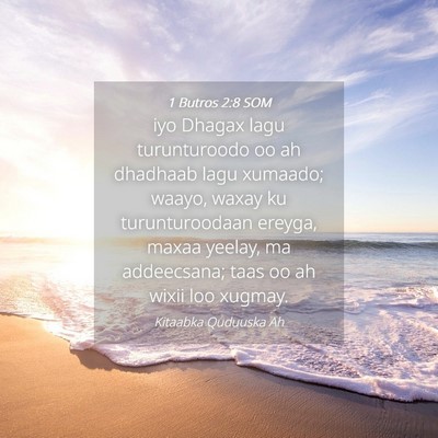 Picture 04 - 1 Butros 2:8 SOM - iyo Dhagax lagu turunturoodo oo ah dhadhaab lagu - Bible Verse Picture