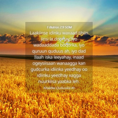 Picture 04 - 1 Butros 2:9 SOM - Laakiinse idinku waxaad tihiin jinsi la doortay, - Bible Verse Picture