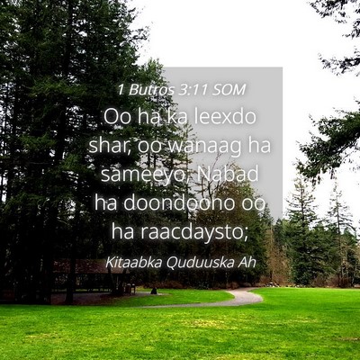 Picture 04 - 1 Butros 3:11 SOM - Oo ha ka leexdo shar, oo wanaag ha sameeyo; Nabad - Bible Verse Picture