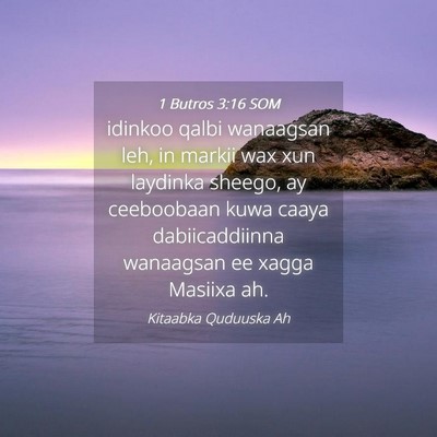 Picture 04 - 1 Butros 3:16 SOM - idinkoo qalbi wanaagsan leh, in markii wax xun - Bible Verse Picture