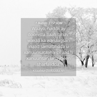 Picture 04 - 1 Butros 3:17 SOM - Waayo, haddii ay doonista Ilaah tahay, waxaa ka - Bible Verse Picture