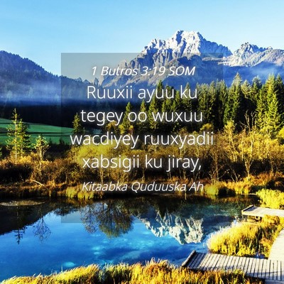 Picture 04 - 1 Butros 3:19 SOM - Ruuxii ayuu ku tegey oo wuxuu wacdiyey ruuxyadii - Bible Verse Picture