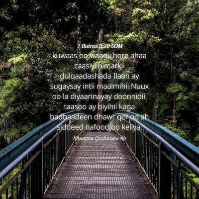 Picture 04 - 1 Butros 3:20 SOM - kuwaas oo waagii hore ahaa caasiyiin markii - Bible Verse Picture