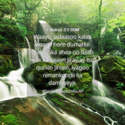 Picture 04 - 1 Butros 3:5 SOM - Waayo, sidaasoo kalaa waagii hore dumarkii - Bible Verse Picture