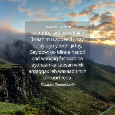 Picture 04 - 1 Butros 3:6 SOM - Saarahba sidaasoo kalay Ibraahim u addeeci - Bible Verse Picture