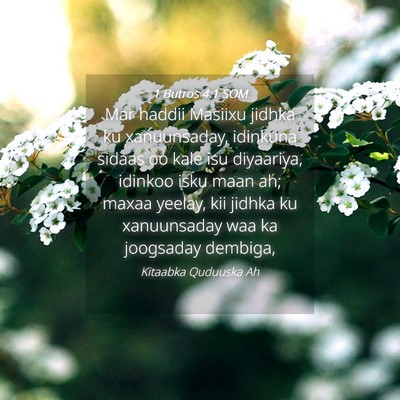 Picture 04 - 1 Butros 4:1 SOM - Mar haddii Masiixu jidhka ku xanuunsaday, - Bible Verse Picture
