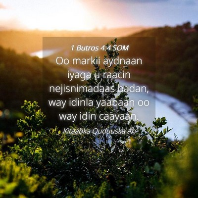 Picture 04 - 1 Butros 4:4 SOM - Oo markii aydnaan iyaga u raacin nejisnimadaas - Bible Verse Picture