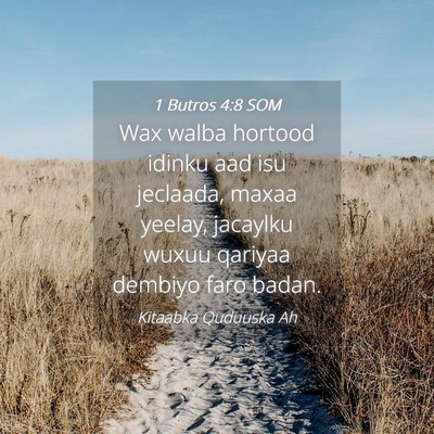 Picture 04 - 1 Butros 4:8 SOM - Wax walba hortood idinku aad isu jeclaada, maxaa - Bible Verse Picture