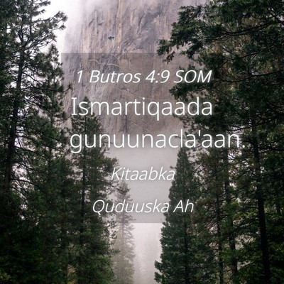 Picture 04 - 1 Butros 4:9 SOM - Ismartiqaada - Bible Verse Picture