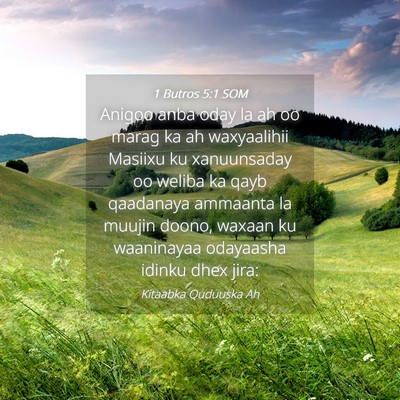 Picture 04 - 1 Butros 5:1 SOM - Anigoo anba oday la ah oo marag ka ah waxyaalihii - Bible Verse Picture